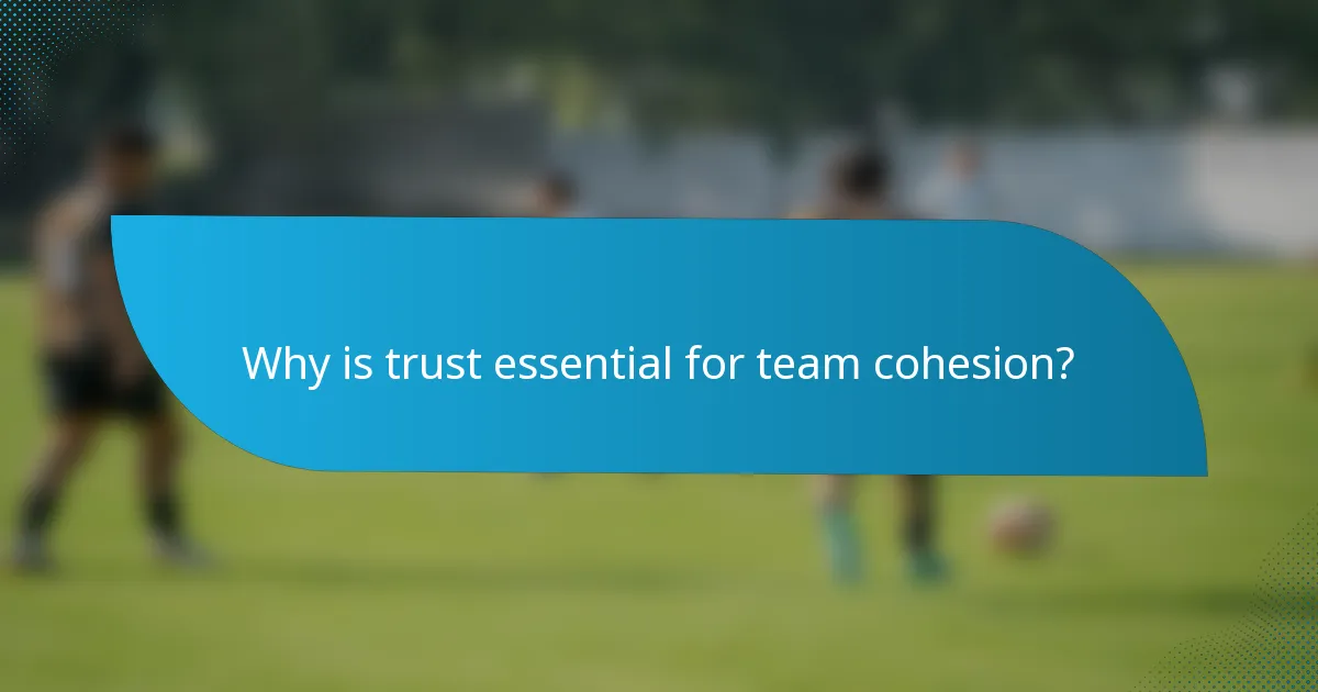 Why is trust essential for team cohesion?